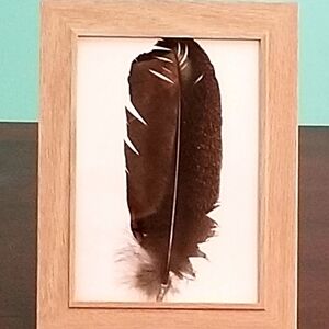 Turkey Feather Artwork in 5×7 wood Hang or Stand alone Frame/ Featherwork